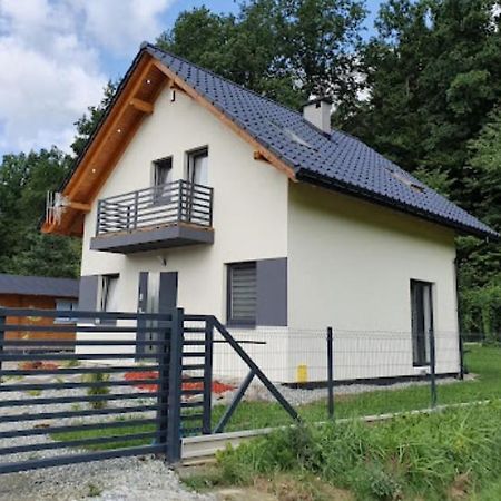 Ferienwohnung Leniowka Ponikiew  Exterior foto