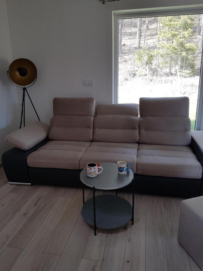 Ferienwohnung Leniowka Ponikiew  Exterior foto